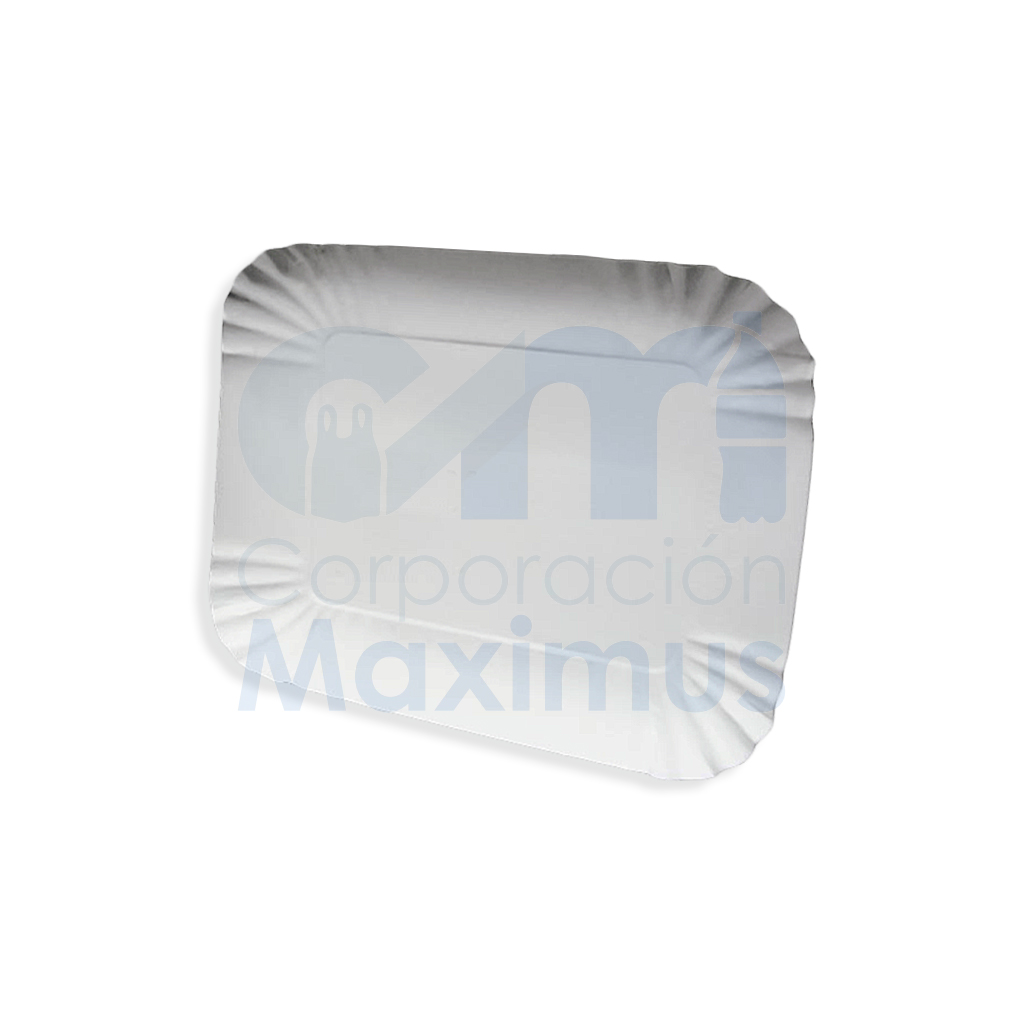 BANDEJA CARTON #8 27 X 22CM 125UND