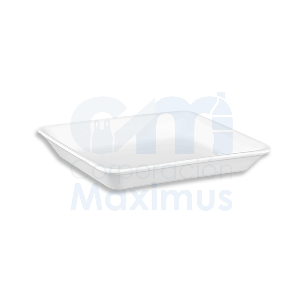 BANDEJAS TERMICAS H2 TIPO G (M) 500 UND
