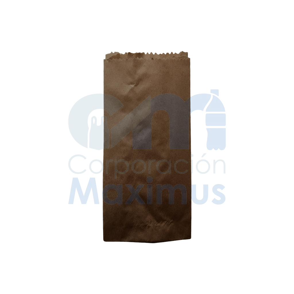BOLSA DE PAPEL CON FUELLE 2KG 1 X 1000 UND