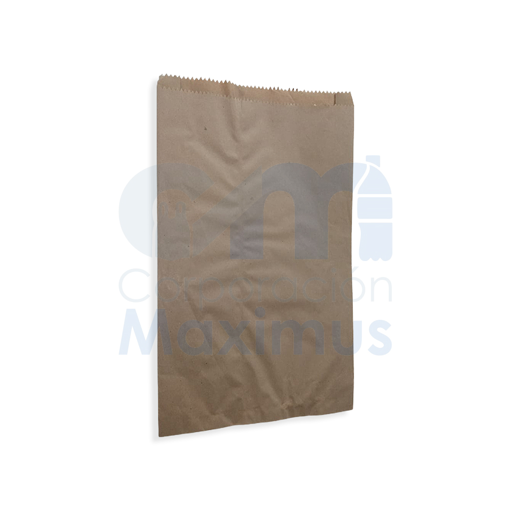 BOLSA DE PAPEL CON FUELLE 10KG 1 X 1000 UND