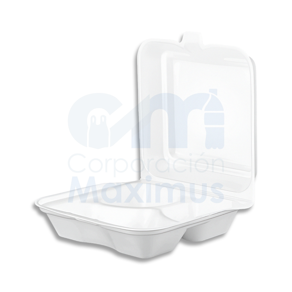 CAJAS TERMICAS CT2-D TIPO P3 (M) 200 UND