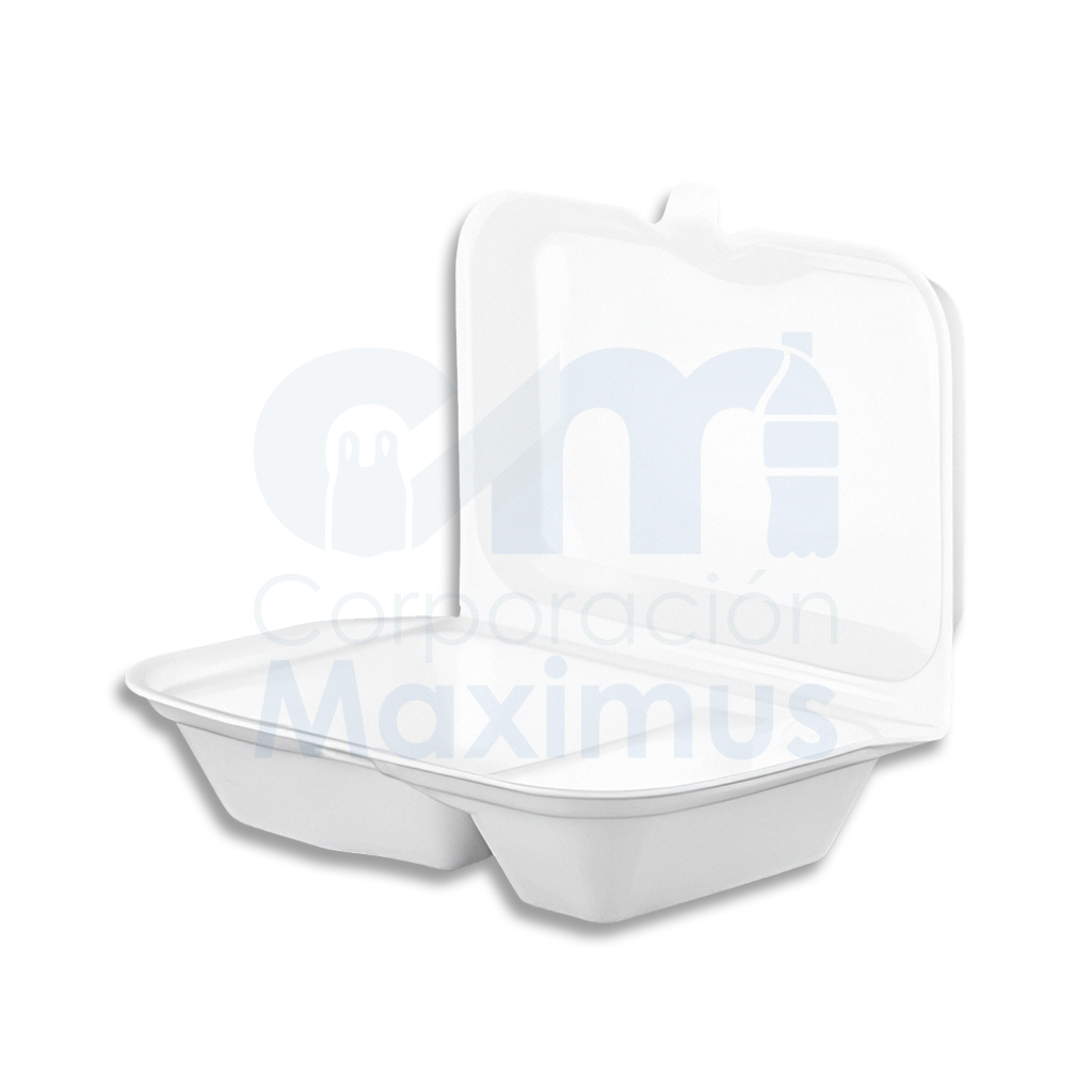 CAJAS TERMICAS CT4-D TIPO J2 (M) 200 UND