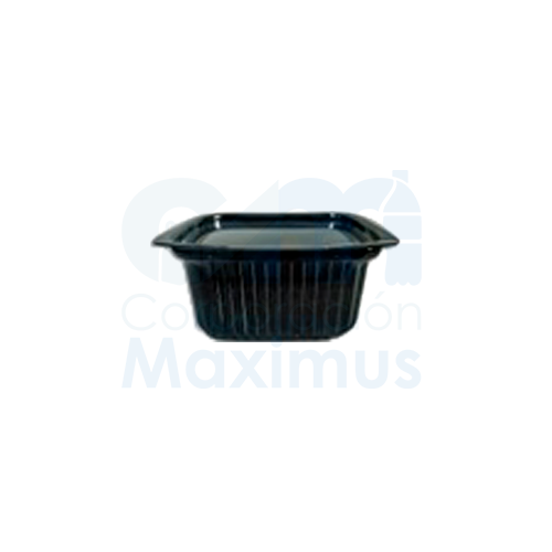 DELIPACK MIXTO 1000CC/34OZ/250 UND C/T RECT