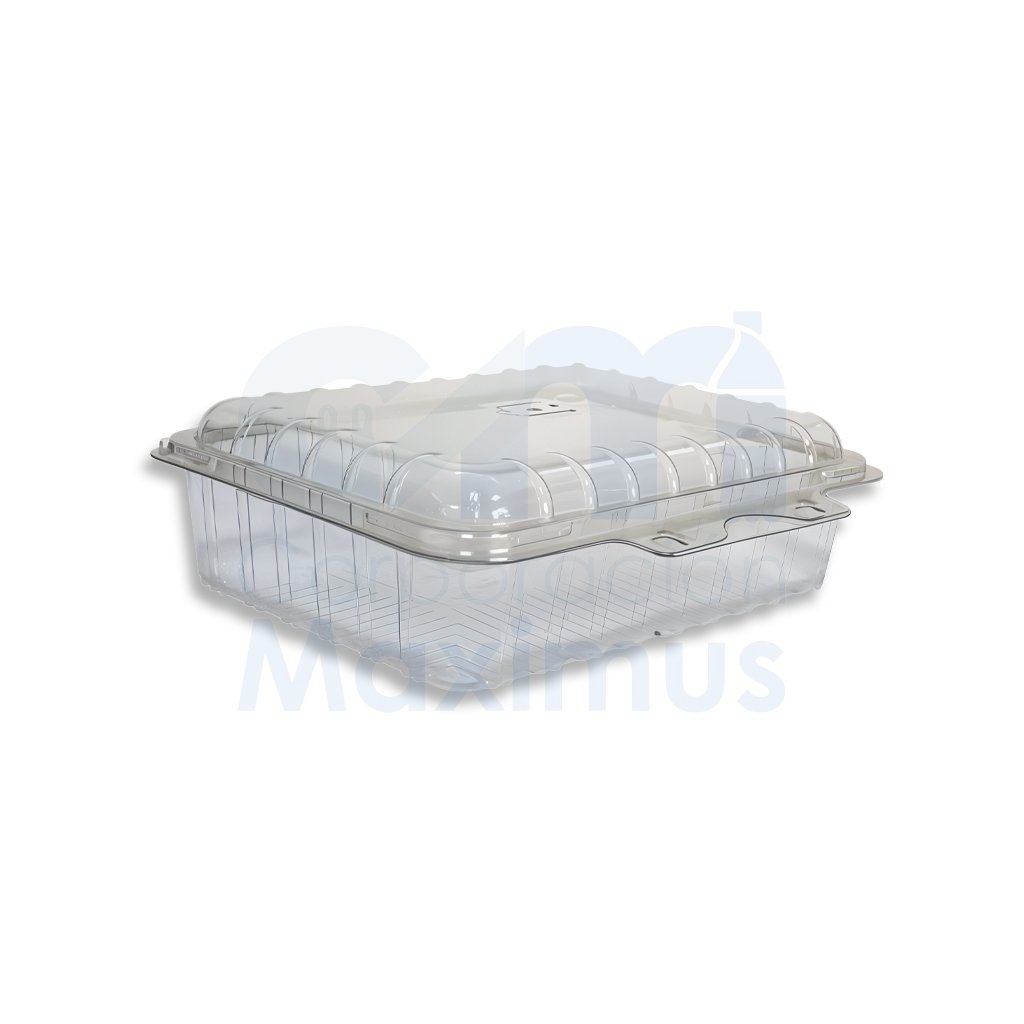 DELIGOURMET 4G TL TRANSPARENTE 450CC 15 OZ 100 UND