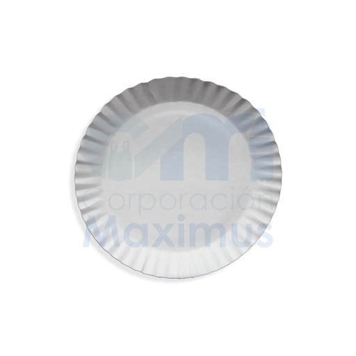 [PLA003003] PLATO CARTON # 8 20CM 1000 UND